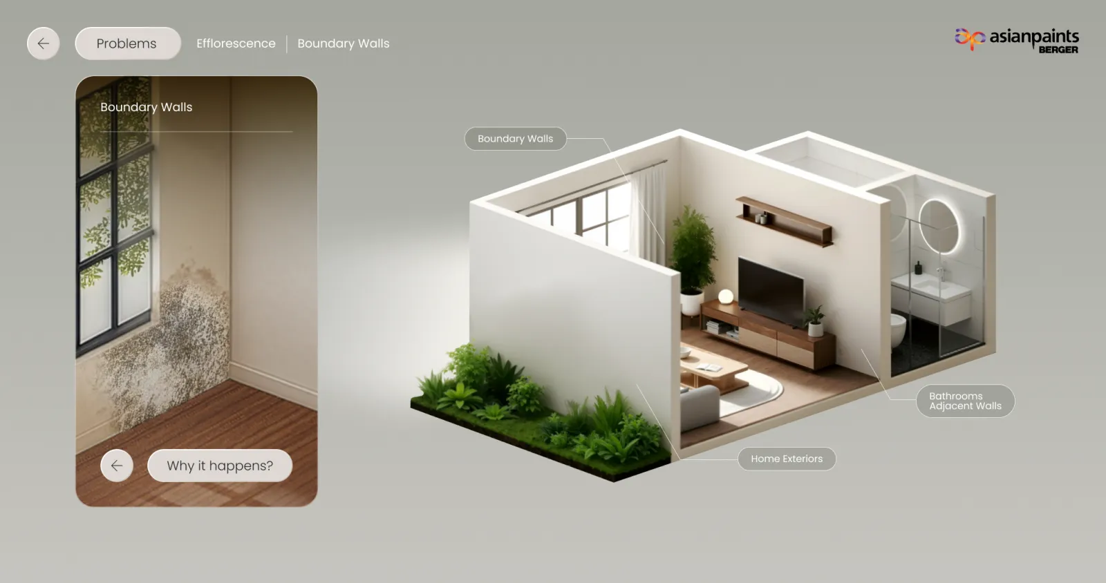 Asian Paints Experience — Tap the location